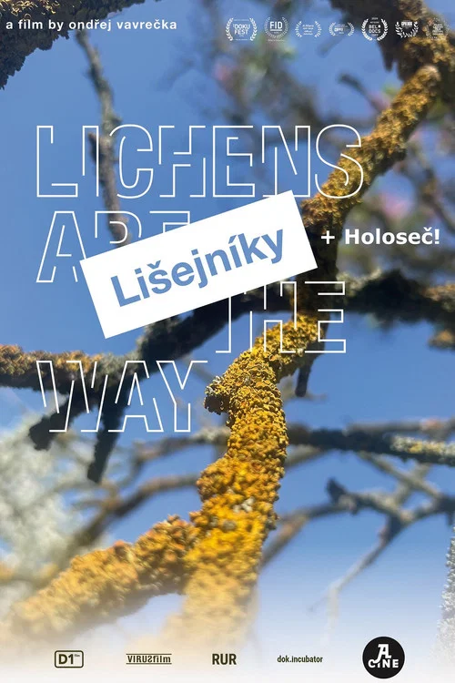 Lichens Are the Way постер
