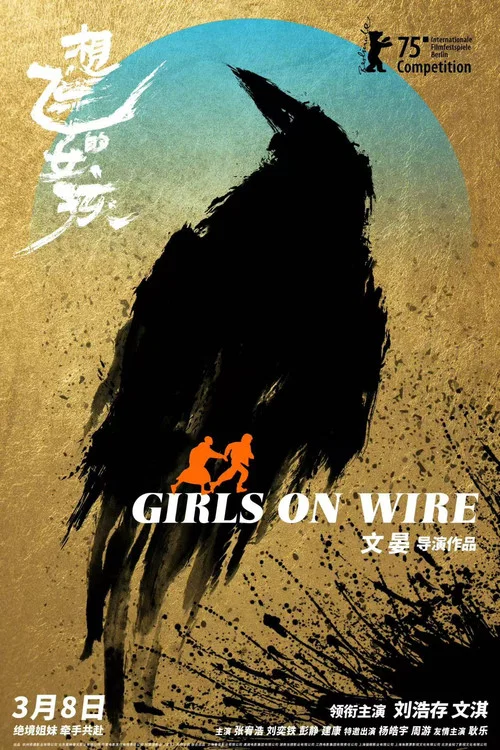 想飞的女孩 постер