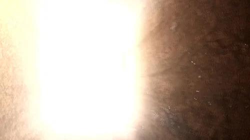 Эпизод 191
