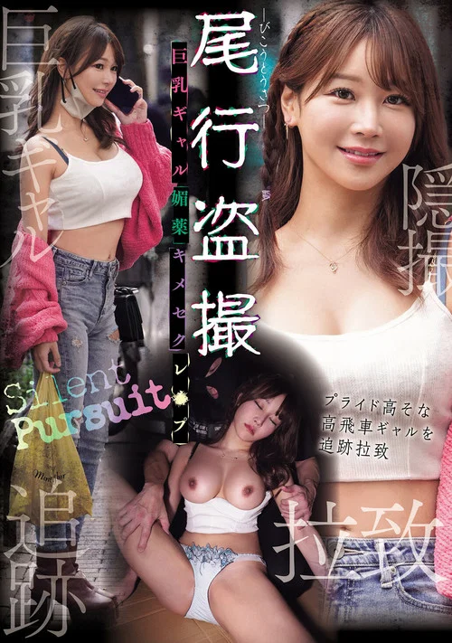尾行盗撮 巨乳ギャル媚薬キメセクレ×プ постер