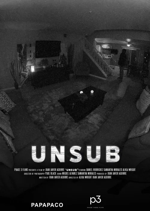 UNSUB постер