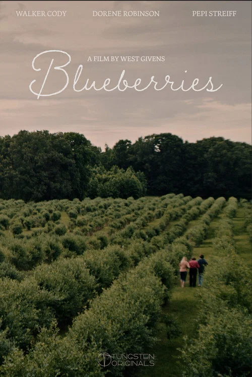 Blueberries постер