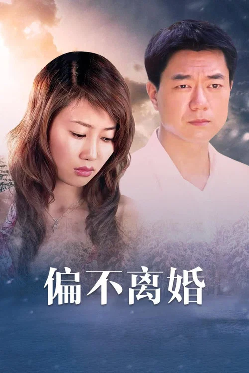 婚姻的敌人 постер