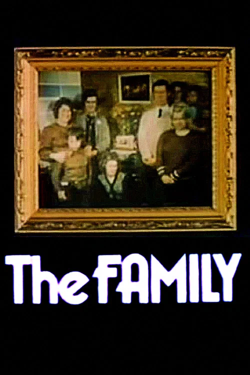 The Family постер