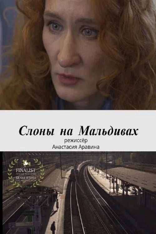 Слоны на Мальдивах постер