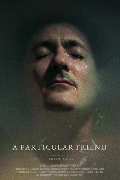 A Particular Friend постер