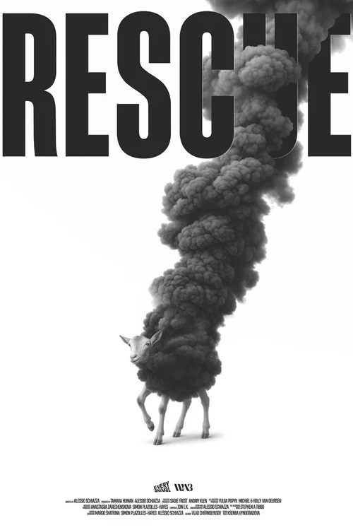 Rescue постер
