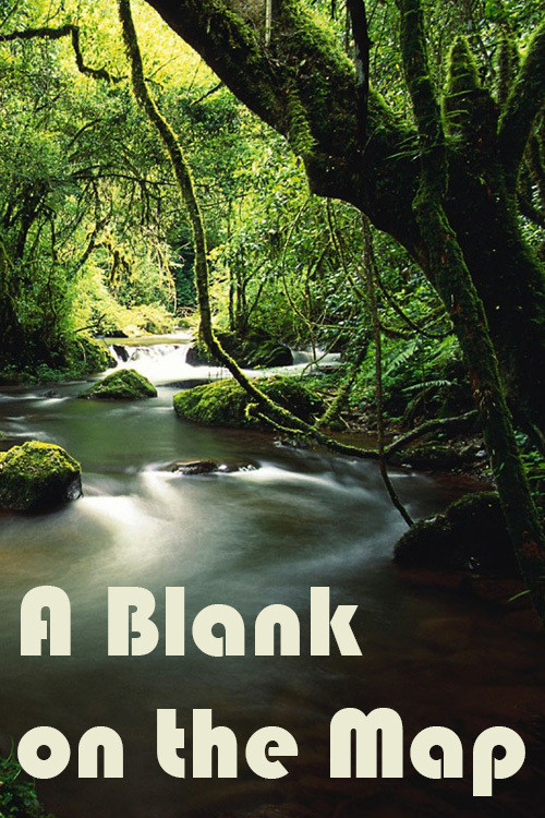 A Blank on the Map постер