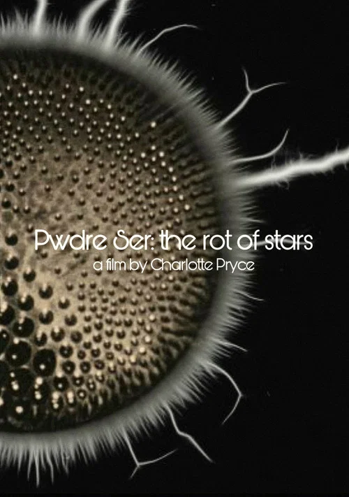 Pwdre Ser: the rot of stars постер