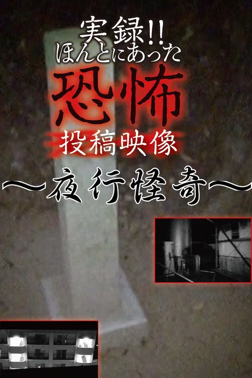実録!!ほんとにあった恐怖の投稿映像～夜行怪奇～ постер