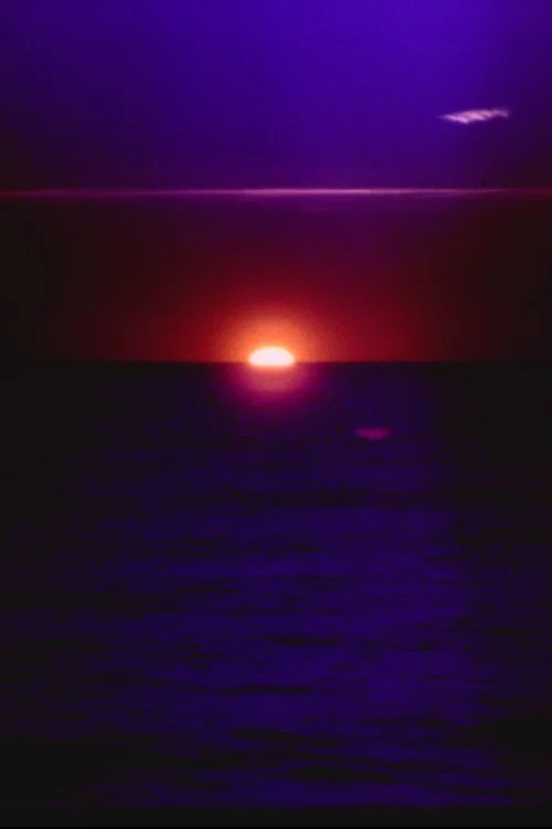 solar wave постер