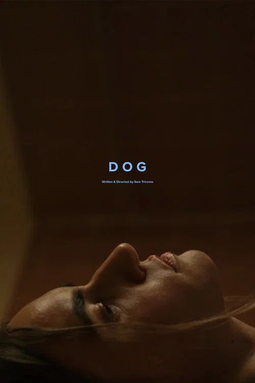 Dog постер