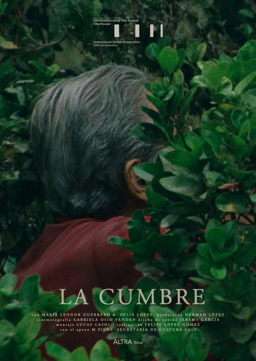 La Cumbre постер