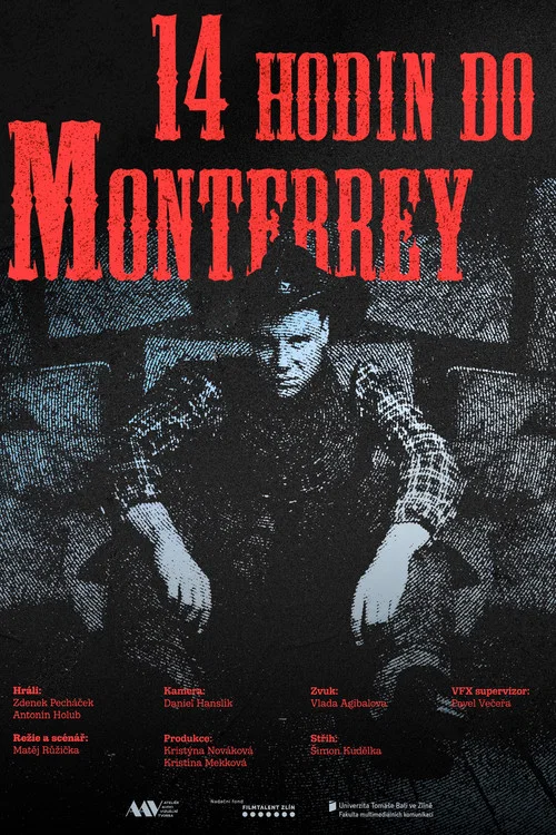 14 hodin do Monterrey постер