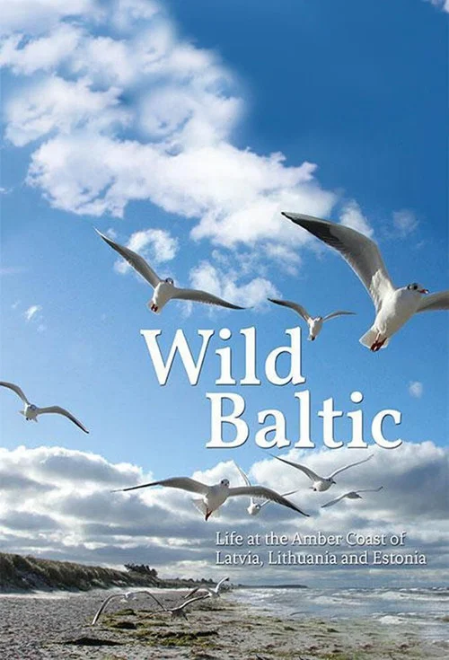Wild Baltic постер