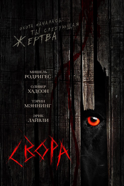 Свора постер