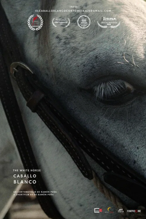 Caballo Blanco постер