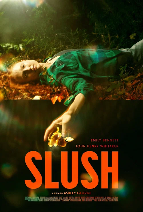 Slush постер