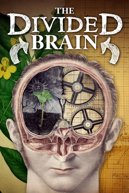 The Divided Brain постер