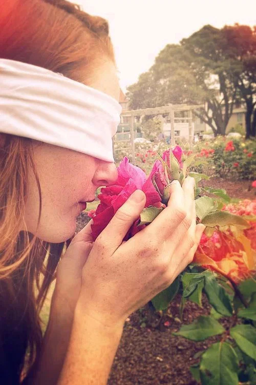 The Handkerchief постер