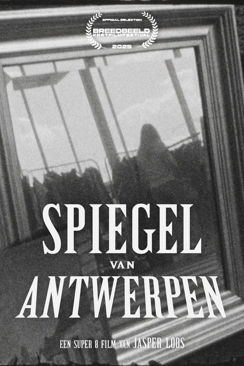 Spiegel van Antwerpen постер