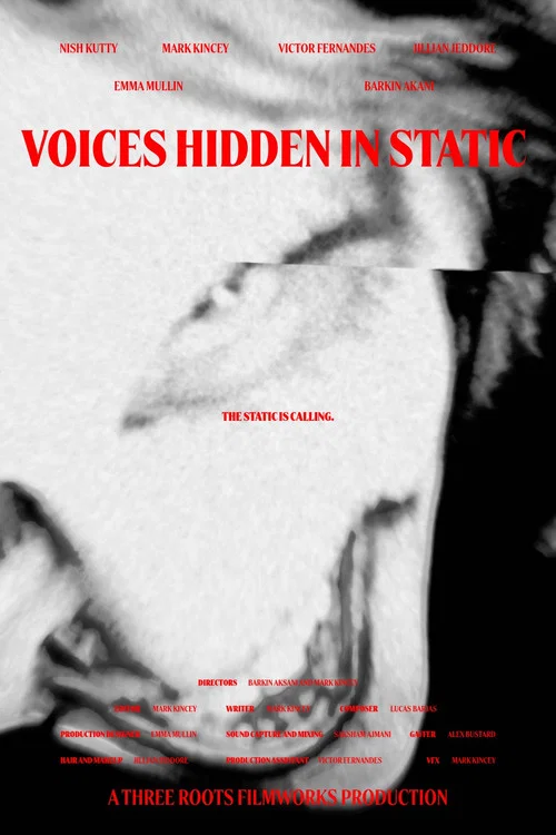 Voices Hidden in Static постер