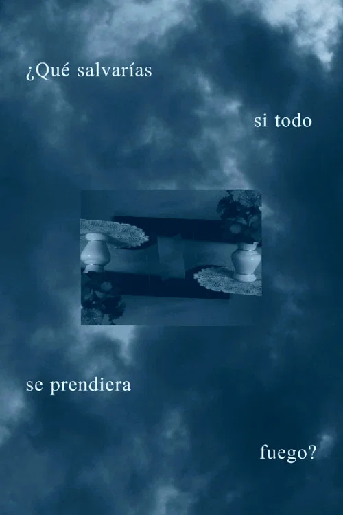 ¿Qué salvarías si todo se prendiera fuego? постер