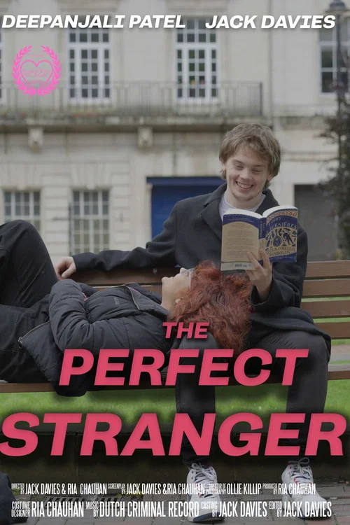 The Perfect Stranger постер