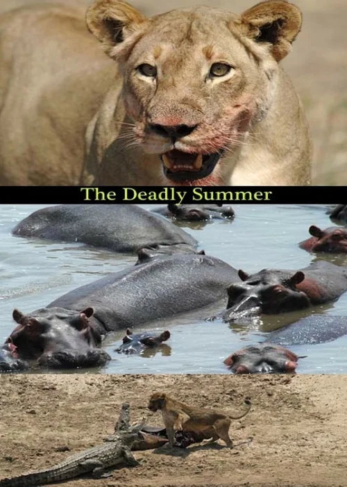 Deadly Summer постер