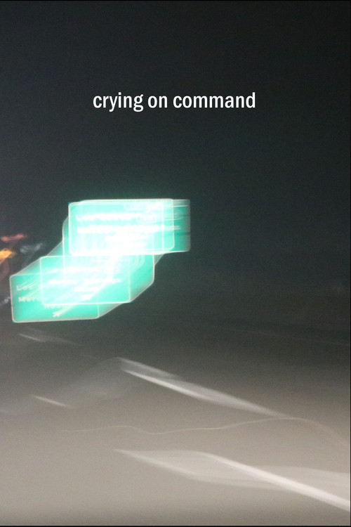 Crying on Command постер