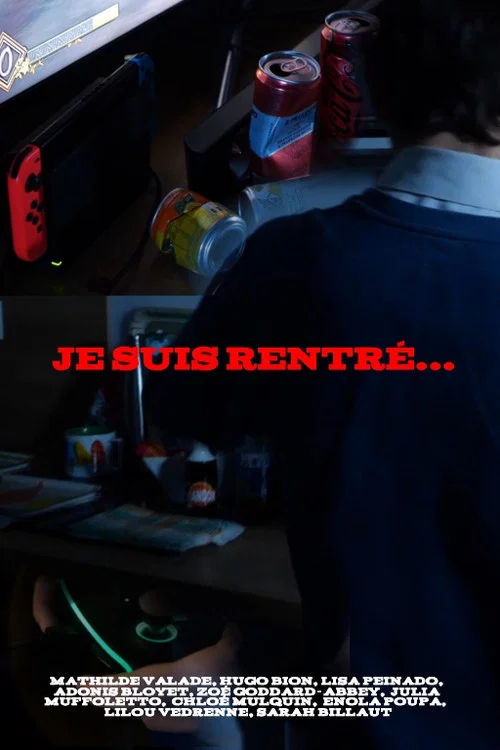 Je suis rentré... постер