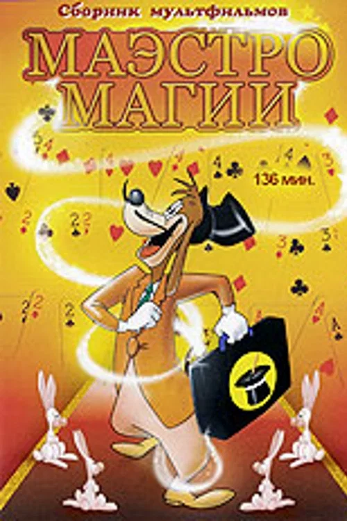 Маэстро магии постер