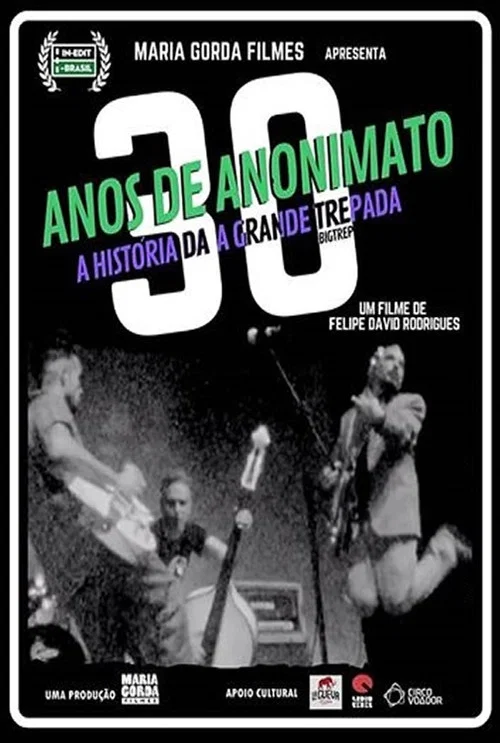 30 Anos de Anonimato постер