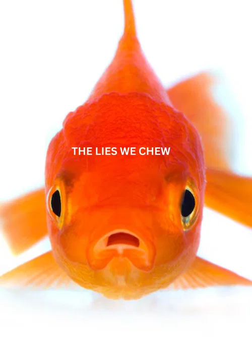 The Lies We Chew постер