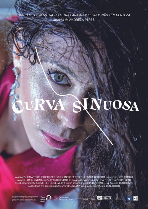 Curva Sinuosa постер