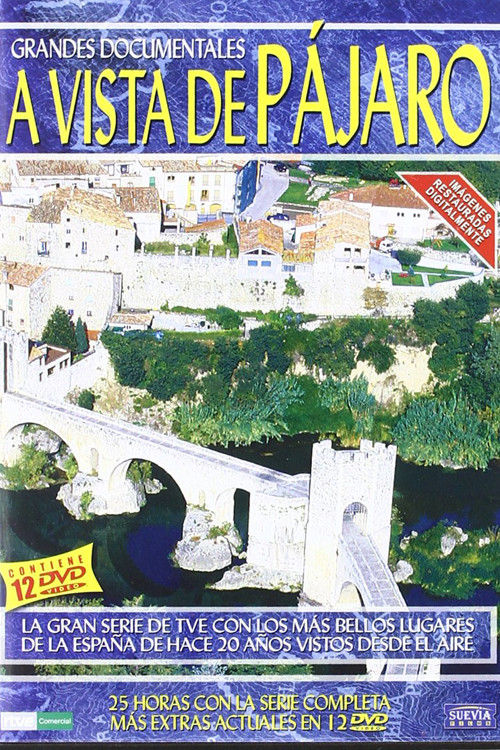 A vista de pájaro постер