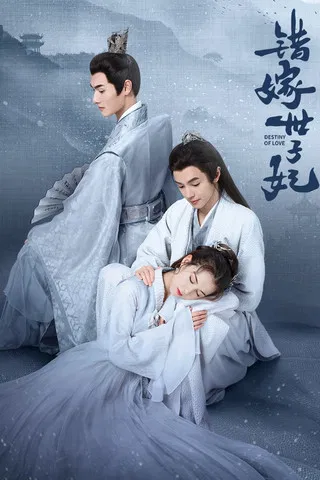 错嫁世子妃 постер