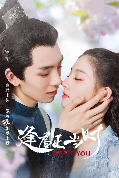 逢君正当时 постер