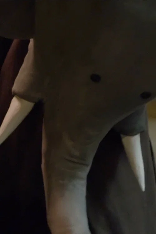 Un éléphant me regarde постер