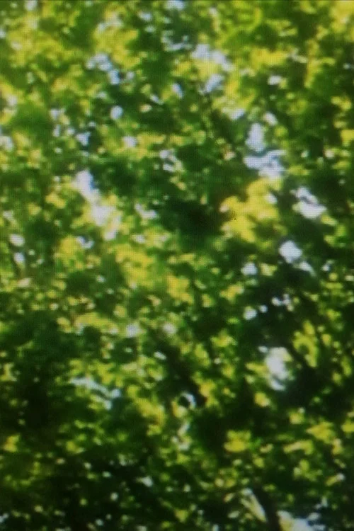 Feuilles vertes постер