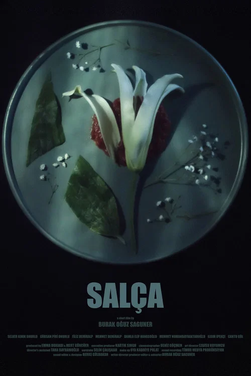 Salça постер
