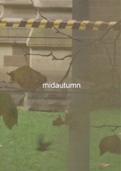 midautumn постер