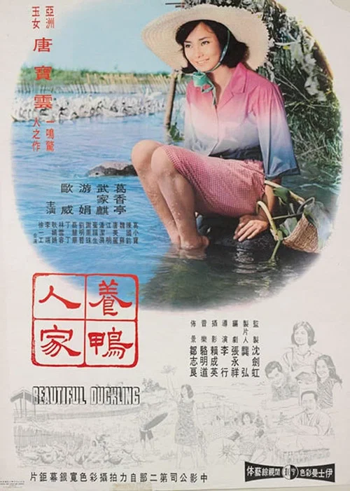 養鴨人家 постер
