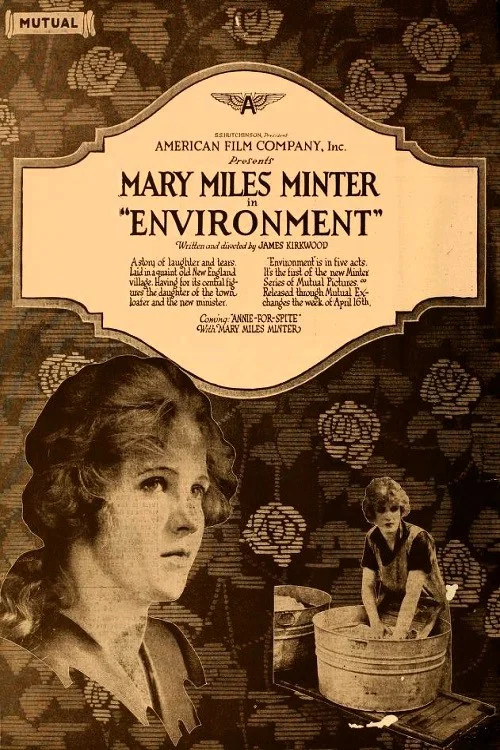 Environment постер