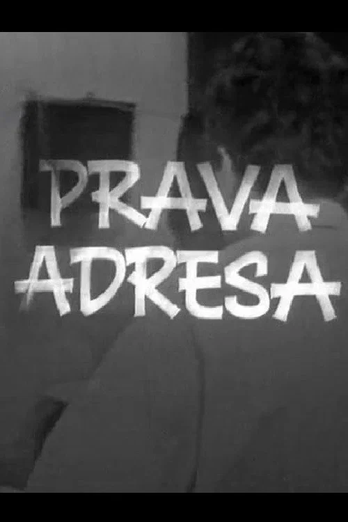 Prava adresa постер