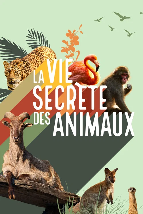 La vie secrète des animaux постер