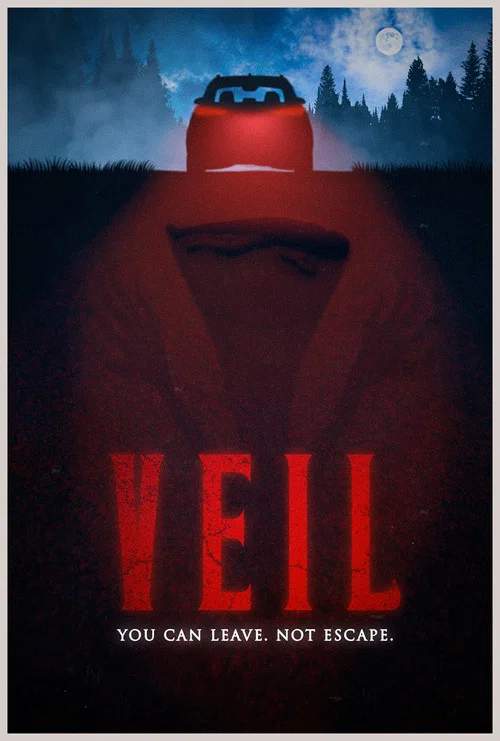 VEIL постер