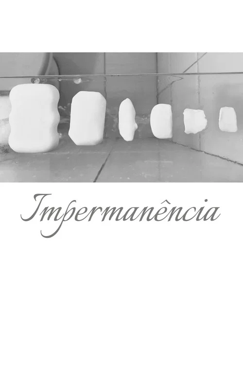 Impermanência постер