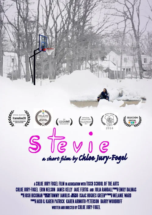 Stevie постер