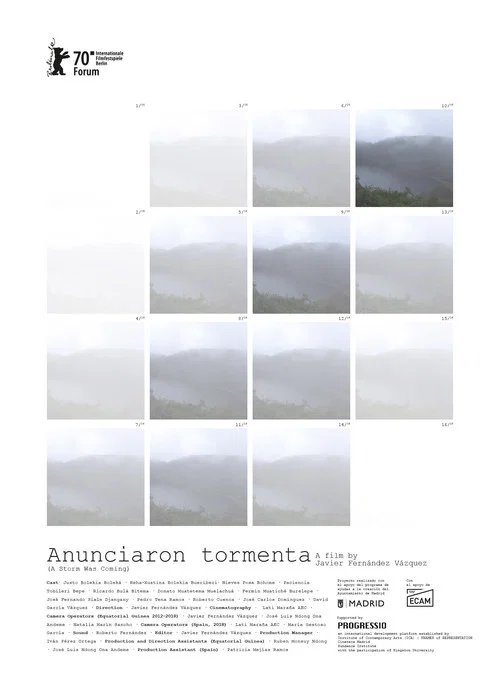 Anunciaron tormenta постер